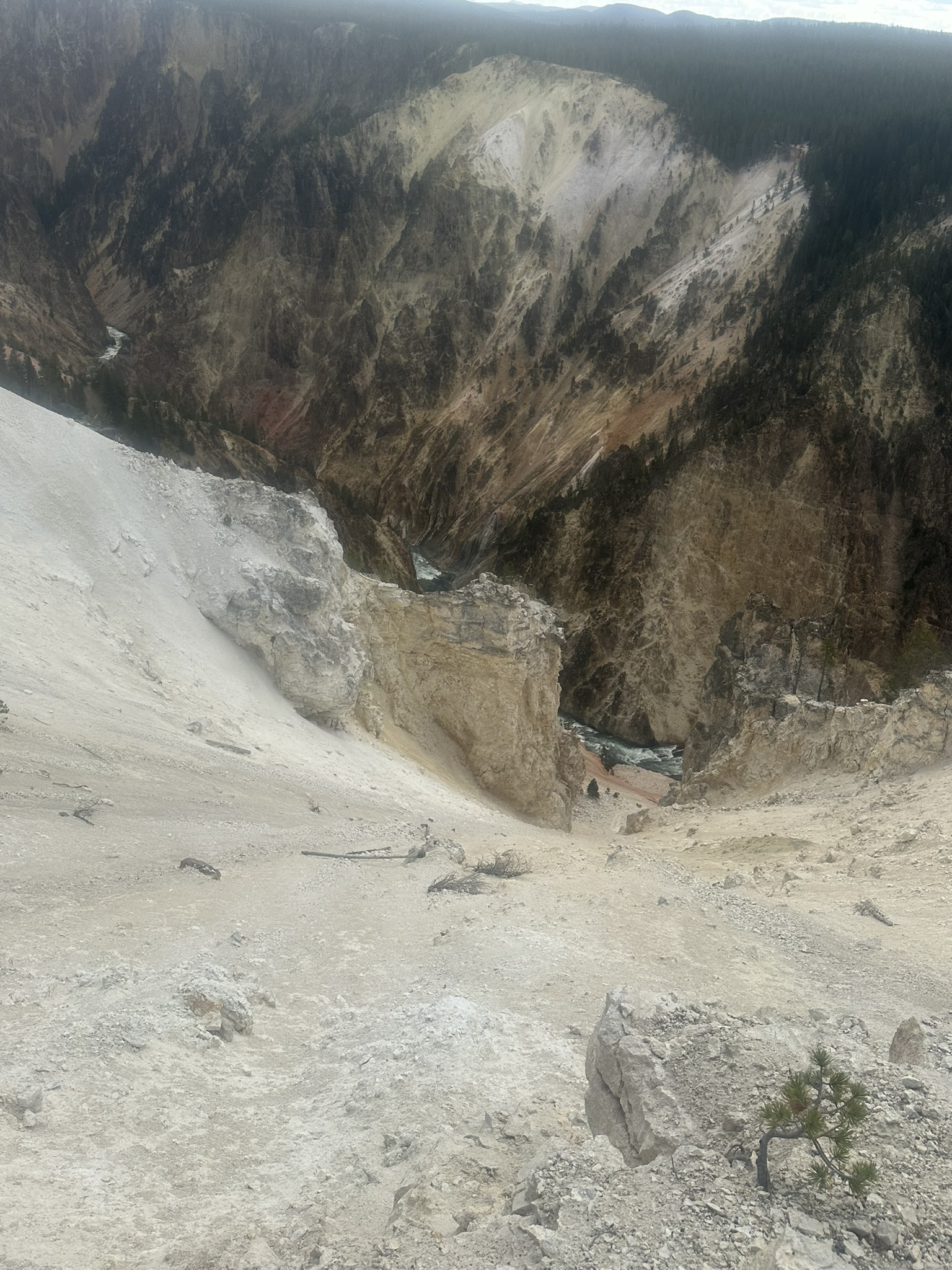 Yellowstone And Grand Teton National Parks - Image 613